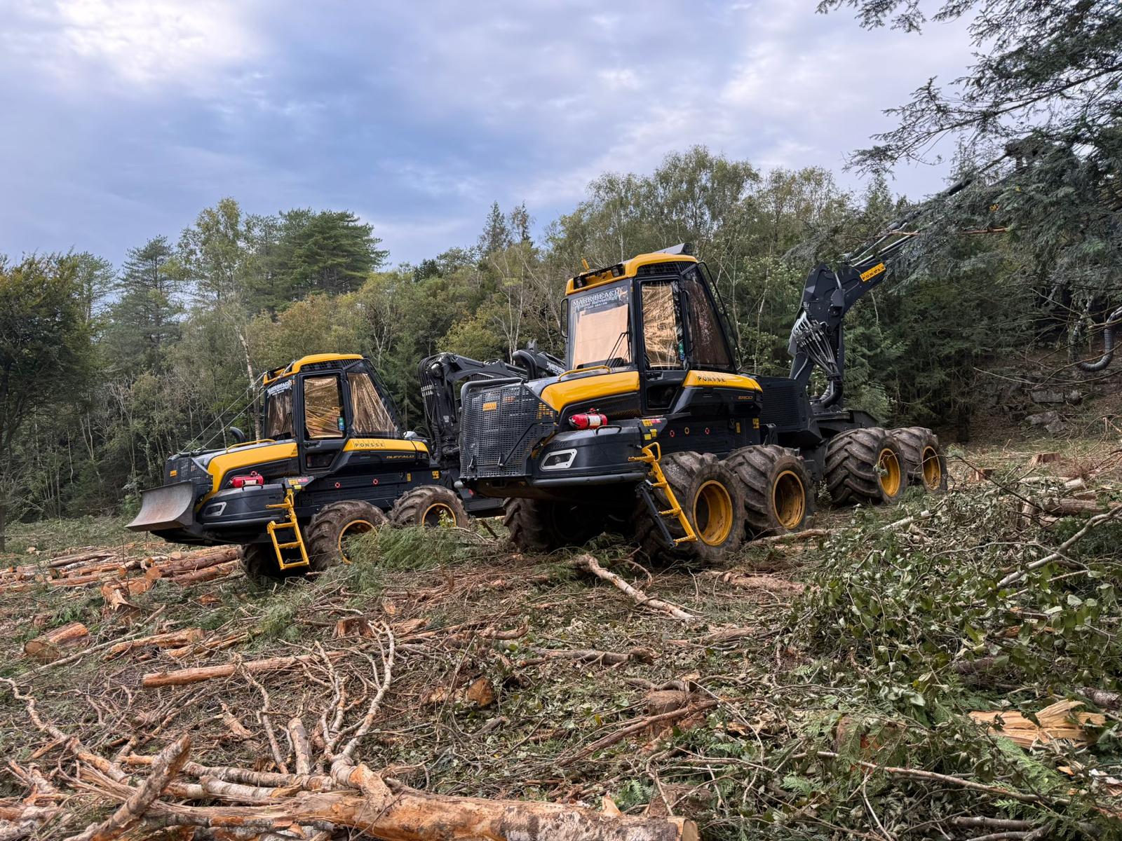 Forestry harvester working among trees