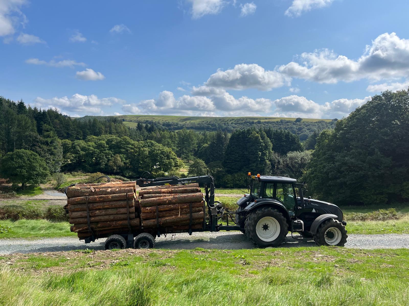 Yellow forestry harvester in a field